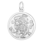 Pt950 Platinum Pi Xiu Wealth Coin Pendant